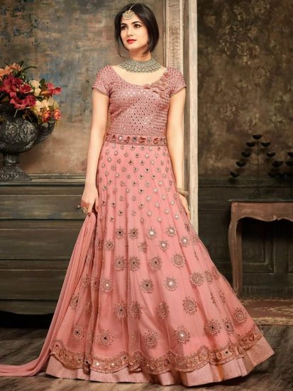 Gorgias Semistached Indian Georgette Embroidered Gown02